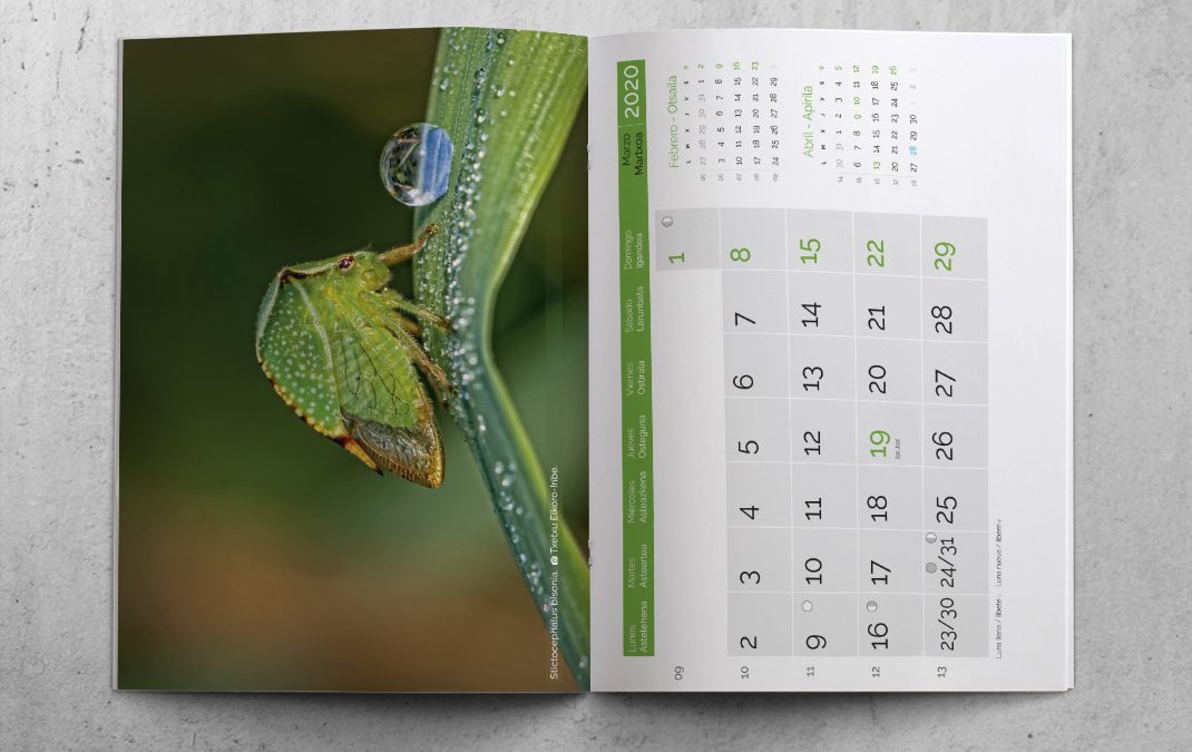 Offset printing of a wall-type magazine calendar