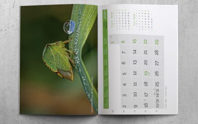 Offset printing of a wall-type magazine calendar